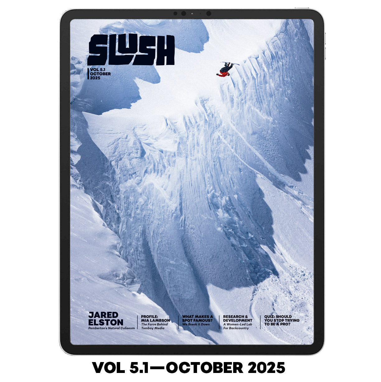 Slush Digital Subscription